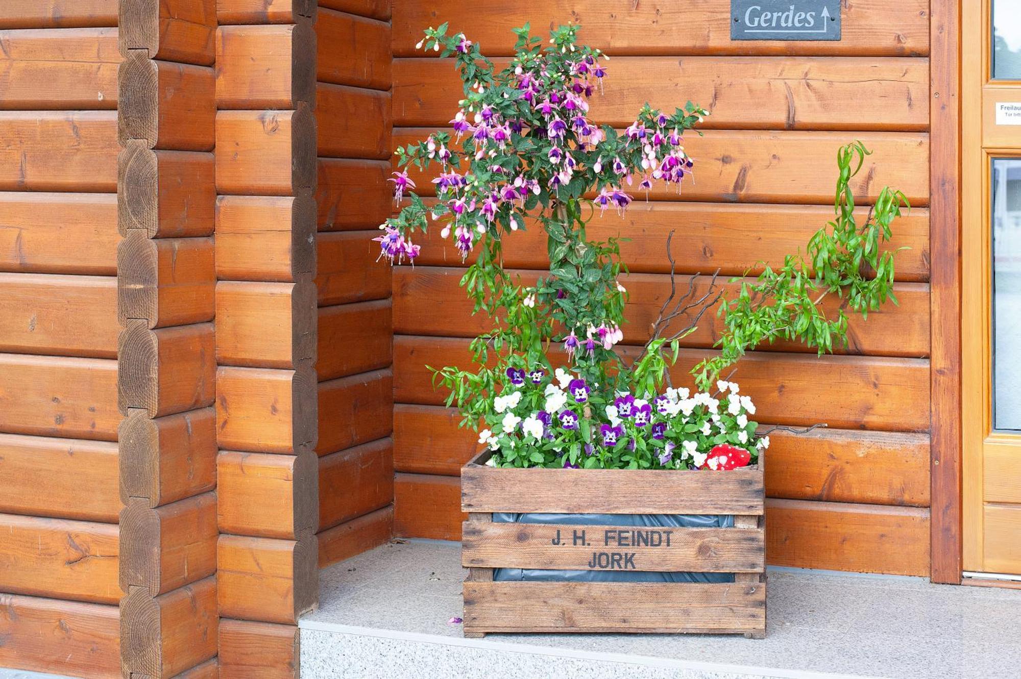 Entenhaus * Hilgendorf
