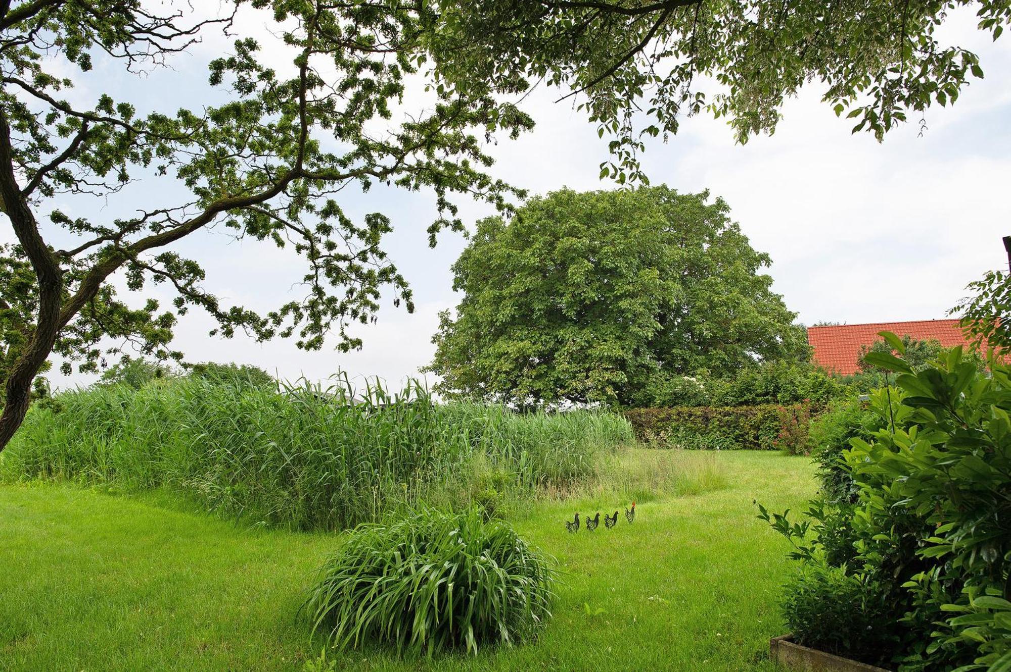 Entenhaus Apartamento Hilgendorf